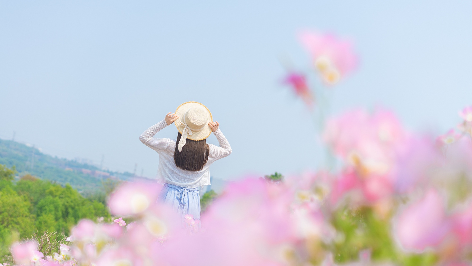 春游热度环比上涨370% 北京成最受欢迎目的地